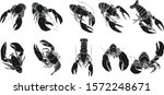 set of lobster by hand drawing... | Shutterstock .eps vector #1572248671