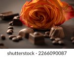 A Rose And Dark Chocolate...