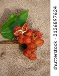 Deep Red And Ripe Urucum Fruits ...