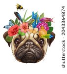 Portrait Of Pug Dog With A...