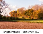 Nossegem, Belgium - November 4 2020: Beautiful day in Zaventem with the brown field and the autumn colored trees
