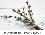     Happy Easter Day card with pussy willow tree. Branches Of The Pussy Willow on white wooden rustic background. Minimal Easter concept. Copy space for text.                                          
