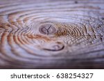 Macro Closeup Of Tree Stump...