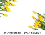Layout Of Yellow Tulips On A...