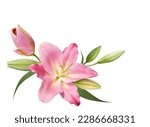 Pink lily flower bouquet...