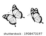 two butterflies on isolated... | Shutterstock .eps vector #1908473197