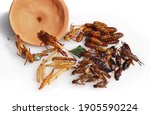 Fried insect, edibility Grasshopper, Silkworm pupae, house cricket, Bamboo Worms Caterpillar. Fried insects with salt on white background. Street food insects snacks in Khao San Road Bangkok, Thailand