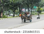 Small photo of Jakarta, Indonesia - April 3, 2016: Horse-Drawn Carriage on City Street with Trees and Plants. A horse-drawn carriage travels down a city street. Delman or horse-drawn carriage and motorbike.