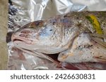 Small photo of Sea fish known as croaker Argyrosomus regius