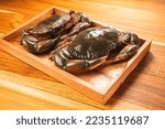 Small photo of Fresh Red Crab seafood on wooden plate, Serrated mud crab on wooden plate on wooden background.