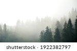 Foggy Mountain Landscape With...