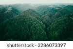 Small photo of Top view of dark green forest landscape in winter. Aerial nature scene of pine trees. Countryside path trough coniferous wood form above. Adventure travel concept background.