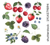 Berries Set In Watercolor....