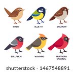 Set Of Cute Cartoon Small Birds ...
