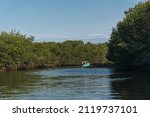 Small photo of boat sailing in the mangroves of tumbes on a sunny day with a blue sky surrounded by trees at low tide in the pacific ocean