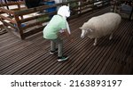 Small photo of PAHANG, MALAYSIA - December 24, 2022: Aboy is feeding a cute sheep at an animal farm, located in Pahang, Malaysia. A selective focus photo of the boy.