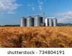 Silos In A Barley Field....