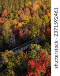 Aerial view of the wooden boardwalk at Sentier des cimes Laurentides among autumn fall leaves landscape during sunset, Canada