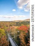 Aerial view of the wooden boardwalk at Sentier des cimes Laurentides among autumn fall leaves landscape, Canada