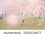 Young woman among beautiful cherry blossoms in full bloom