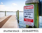 Alligator And Snake Danger...