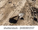 Small photo of Mason's trowel lying on the ground, worn edges telling tales of hard work. Tire marks underscore the daily toil. Authentic scene for construction projects.