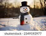 Snowman with a carrot nose, hat, scarf, coal buttons and stick arms standing outside on a winters day. Concept of winter, snow and childhood. Shallow field of view.