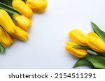 Delicate yellow tulips on white background.  Top view,  space for text, border