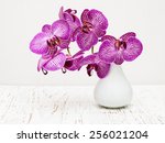 Purple Orchid Flowers In Vase...
