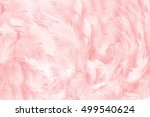 Coral Pink Vintage Feather...