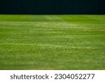 Small photo of Boundaries and white lines between the outfield grass and infield ground of a baseball field
