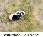 One athletic shoe lying on the grass