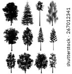 3d tree render on white... | Shutterstock . vector #267012341
