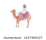 Watercolor Painting Camel With...