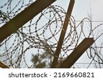 Barbed wire fences on the verge of civilization