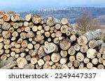 Composition of firewood prepared for a cold winter.