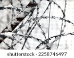 Barbed Wire Fences On The...