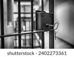 Small photo of Grate with a key to a prison cell. Arrest.