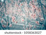 Small photo of Peach tree branch in bloom - Peach flower blossom - Springtime - Blossom texture of branches and flowers, Japanese ceremony, frailty concept