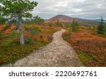 Small photo of Trail road in vast remote arctic landscape on a partly cloudy day of autumn. Hiking in misty Pallas Yllastunturi national park in Finnish arctic. Lapponia outdoor adventure.