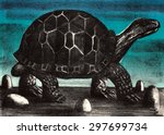 Turtle Image. Lithography ...