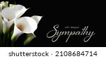 Small photo of Sympathy card with white calla lilies isolated on black background