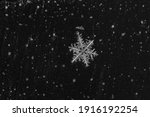 Small photo of Snowflake on a black yon. Transparent with six rays.