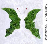 Small photo of Psychology and optical illusion abstract concept four faces butterfly image. Flat lay arrangement of different shapes and color of arborvitae leaves against snowy white background.