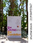 Small photo of Setif, Algeria - August 24, 2022: Close up W. Thomas Boyce's The Orchid and the Dandelion book in the garden.