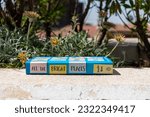 Small photo of Setif, Algeria - June 24, 2023: Jennifer Niven's All the Bright Places novel in the garden. Young adult fiction.
