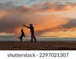 person is playing with dog against background of sunset sky. handler and Labrador retriever train on seashore. woman and pet play and have fun outdoors. friendship is joint pastime