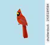 Redbird Northern Red Cardinal ...