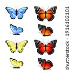 Bright Set Of Vector Butterflies