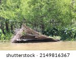 Small photo of Scenes From The Pearl River Swamp in Slidell Louisiana.